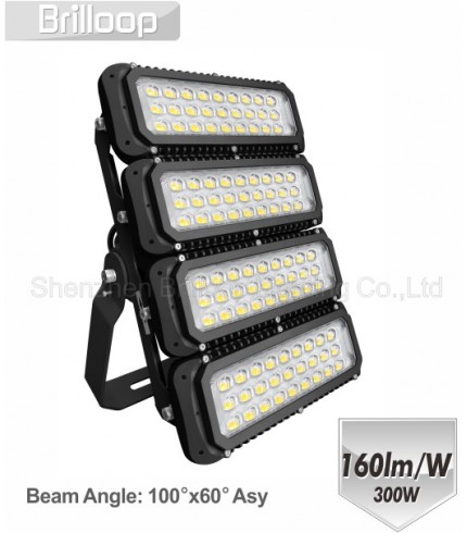 M17: 300W Modular Floodlight